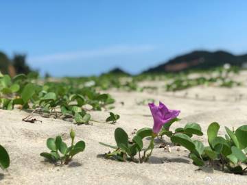 餐饮股早盘全线反弹 海底捞上涨4%海伦司涨超3%