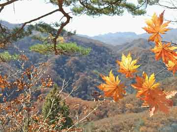 本周还有坏消息？美国银行不再预期美联储今年降息